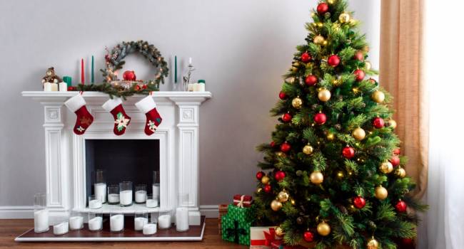 Наряжаем новогоднюю елку: эксперты назвали лучшей период