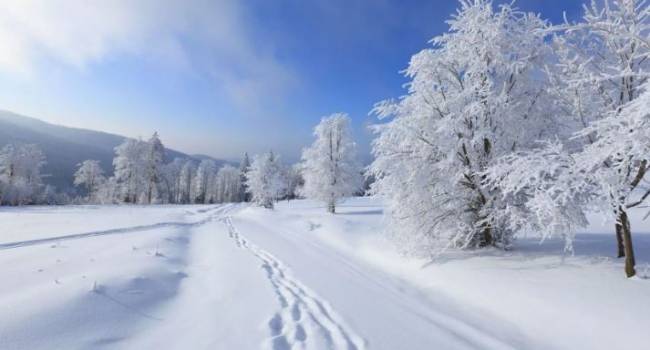 В России скоро будет, как в Европе: климатолог дал неожиданный прогноз на зимы