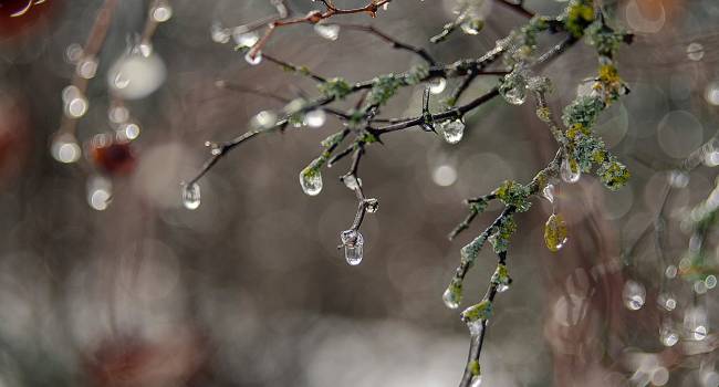 «Даже не ждите»: В Гидрометцентре дали «не зимний» прогноз на декабрь