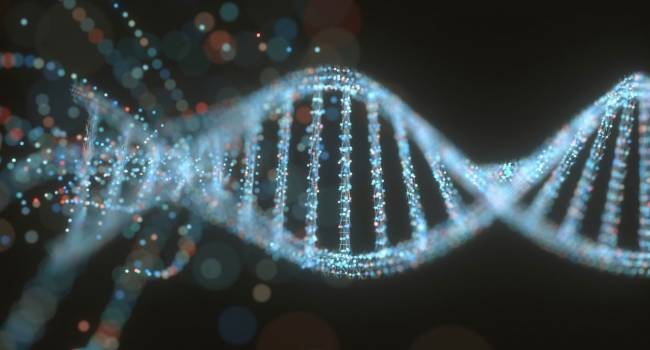 «Жизнь прожить — не поле перейти»: Австралийские ученые установили, что продолжительность жизни человека запрограммировано в его ДНК
