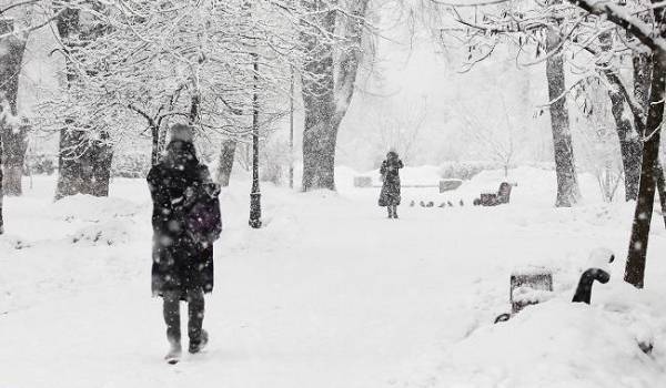  �������� ���������� ������� ��������� 