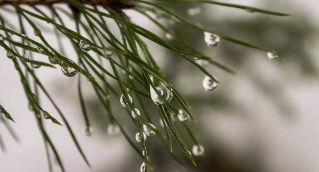  �������� ��������� �������� �������� ��������� ������ ��������� ��� 