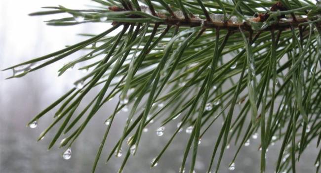  ������� ����� �������� ���������� ������ ��������� ��� 