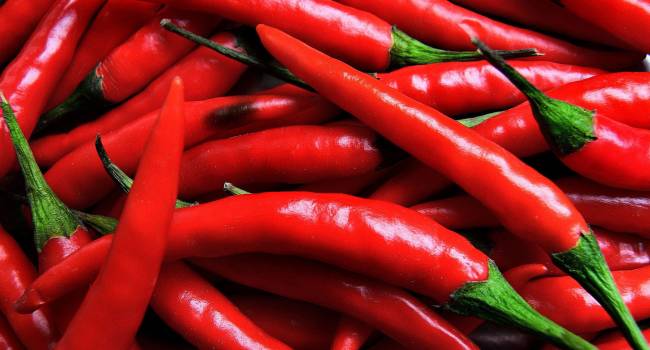  ����� ������� ���� ���� ����� ���� ������ �������� 