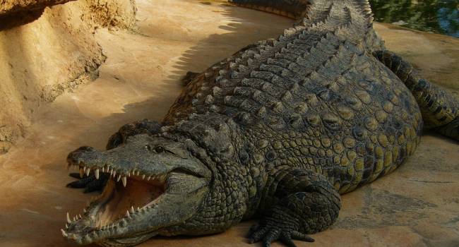  ����� ���� ���� ��������� ���������� ������� ����������� ��������� 