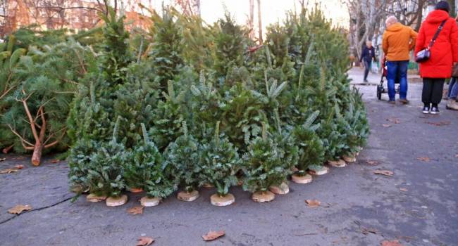  300 ������ �������� ���������� ����� ���� 