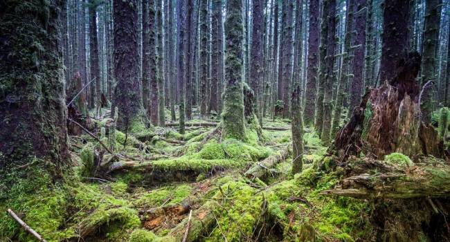  �������� ������ ������� ���������� ��� ��������� ����� ������� 