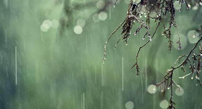  ������������� �������� ��������� ���������� ������� 