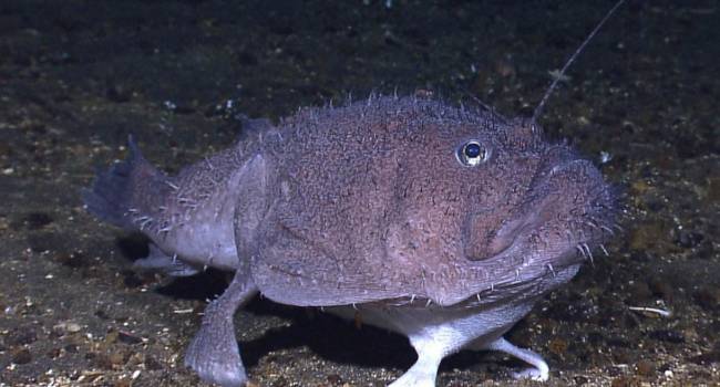  ���� ������ ������ ������� ������������ �������� 