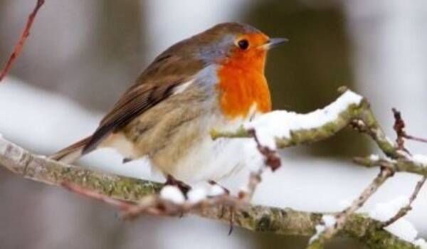  ������� -42 ��������� ��������� ��������� ������� ������ ������ 