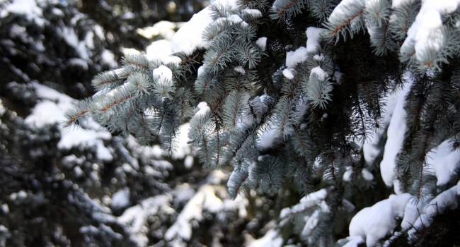  ���� �������� ������� �������� ���������� ������ ��� 