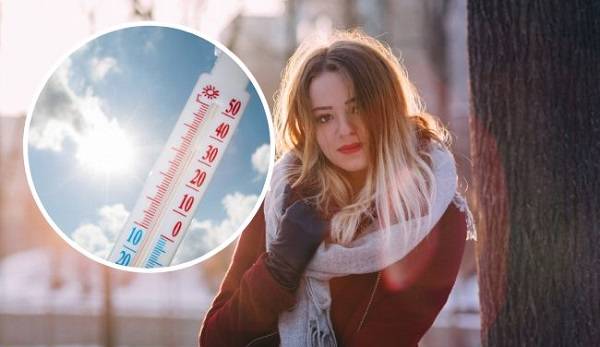 Синоптики признали декабрь 2019 самым теплым в XXI веке 