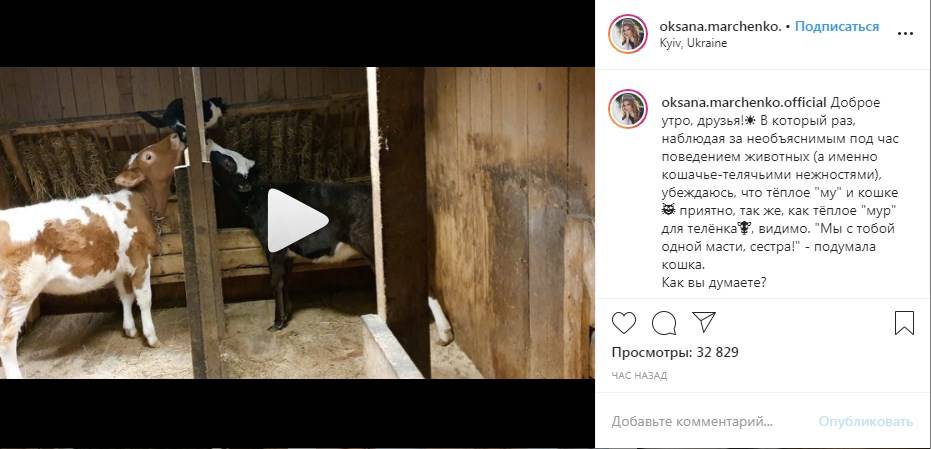 «Мне аж молочком запахло через экран»: Оксана Марченко показала свой сарай, а также похвасталась хозяйством