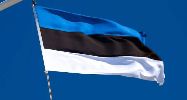 «Маленькое и ущербное государство, озвучивающее свои мечты»: Депутат Госдумы прокомментировал претензии Эстонии на российскую территорию
