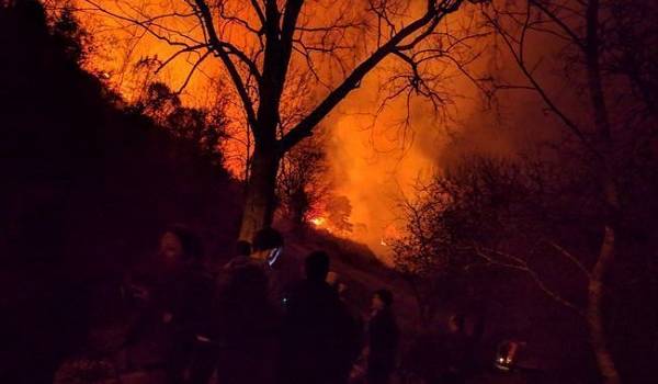 «Не нужно быть в заблуждении»: Порошенко призвал помочь Австралии преодолеть лесные пожары 