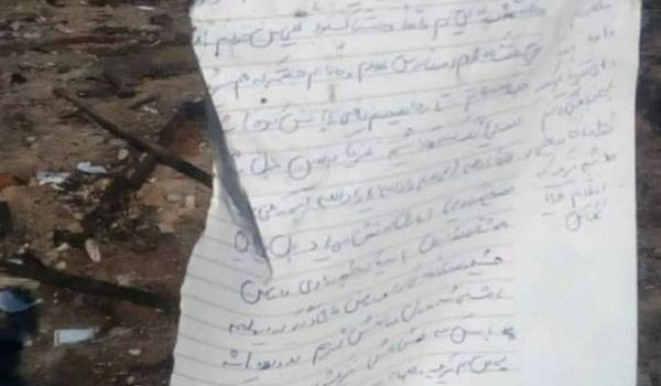 «Взывал к Богу о помощи»: На месте трагедии самолета МАУ в Иране нашли записку студента
