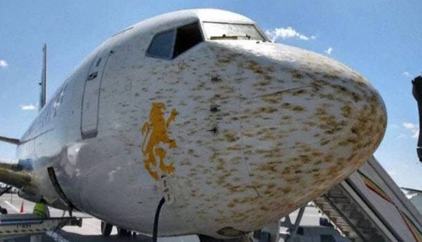  Пилоты не смогли посадить пассажирский лайнер в Эфиопии из-за атаки саранчи
