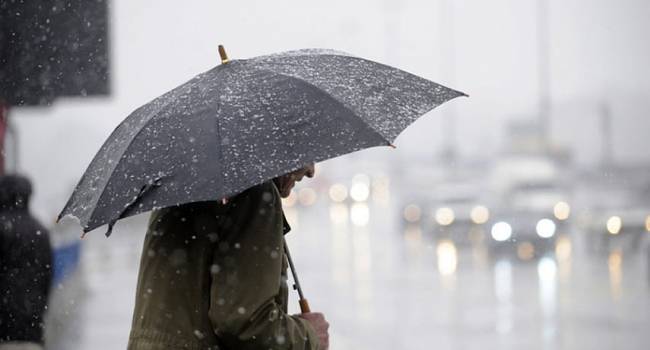 К середине недели доставайте зонты: в Гидрометцентре предупредили о сложных погодных условиях