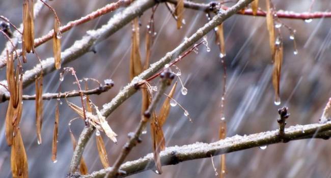 Дожди и аномальное потепление: синоптики предупредили о резком ухудшении погодных условий в феврале