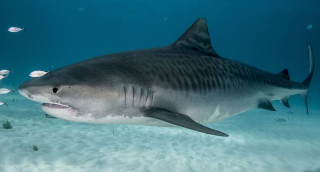  ������� ���� ������� ��������� ����� ������� �������� ���� 