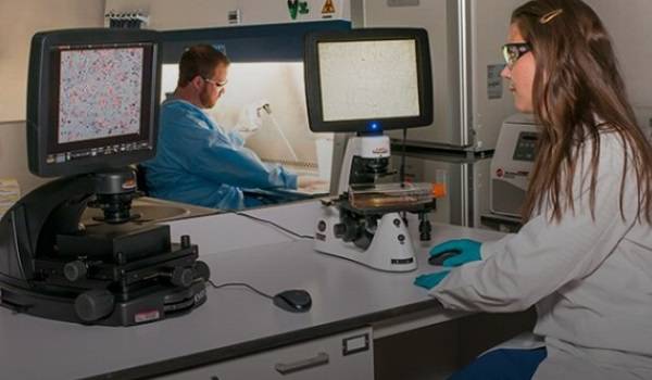  ������ ���������� ������ ���������� ����������� ���� ������� ������������ 