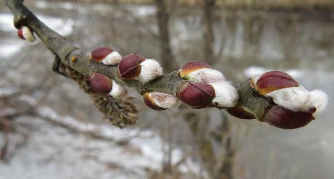  ������� ����� �������� ��� ������� 2020 ��� 