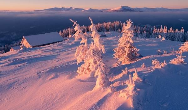  ����� ������� �������������� ���������� ������������� ���������� ������� 