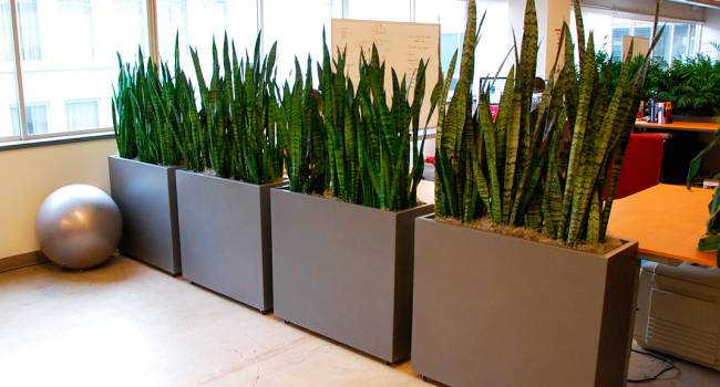  ��������� �������� ������� �������� ������ �������� ������ ��������� 