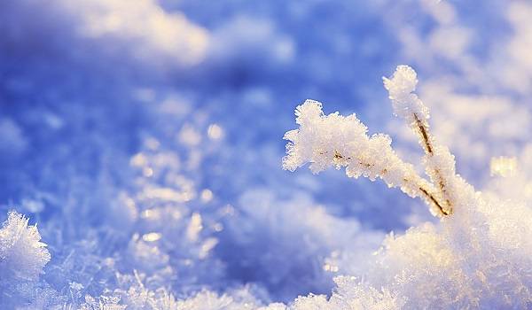  ������� ������� ������ �������� ��������� ������� ��������� ���� 