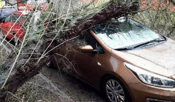  ����� ������ ������ ������ ����� �������� ����� 