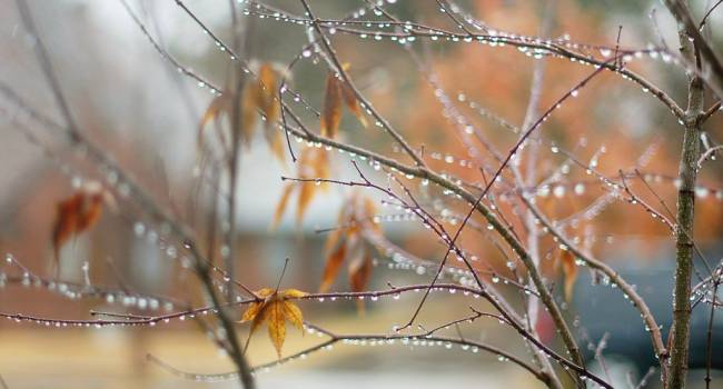  ������ ����� ����� ����������� ��������� ���������� ������ ����� 