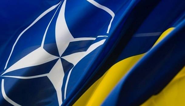 Правительство приняло специальную программу для интеграции в НАТО Правительство приняло специальную программу для интеграции в НАТО
