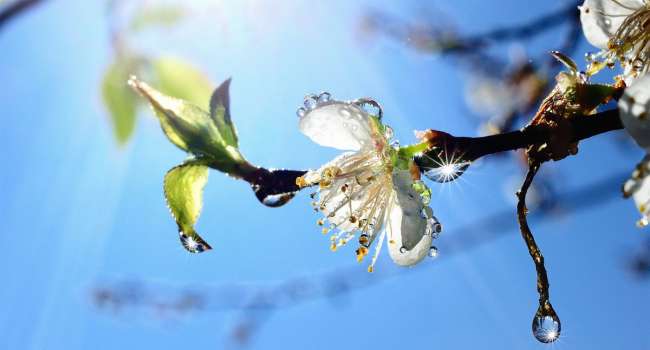 Весна придет совсем скоро: синоптик рассказал погоде в ближайшие месяцы