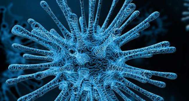«Вирусы и вирусные инфекции»: Как избежать коронавируса и страшного гриппа