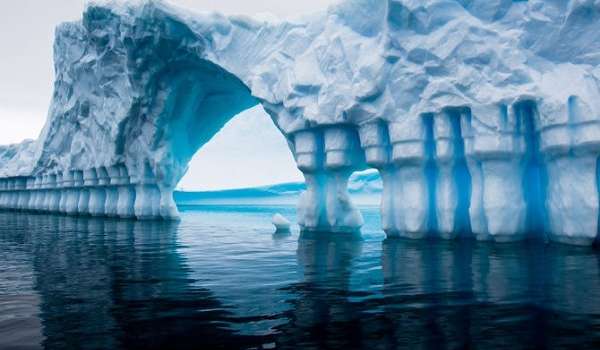 Ученые констатировали самую высокую температуру в Антарктиде за всю историю 
