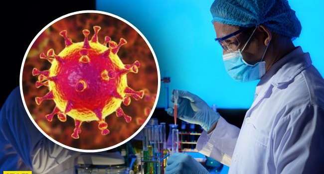 «Еще все впереди»: Исследователи назвали дату пика распространения смертельного коронавируса