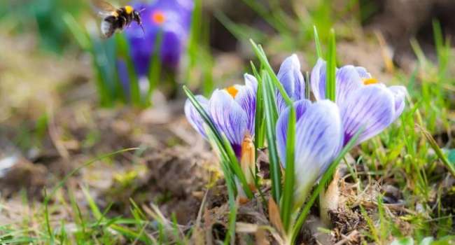 Почти как летом: синоптик удивил прогнозом на начало весны