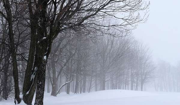 «Может завалить снегом»: синоптик предупредила о погодных аномалиях в марте 