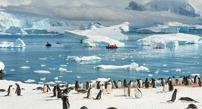 «Глобальное потепление»: В Антарктиде на 22 участках зафиксированы температурные рекорды