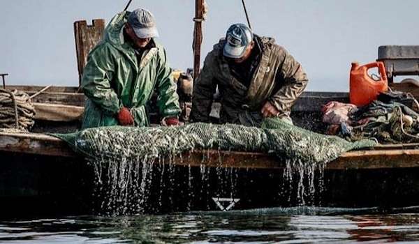 У Зеленского заявляют, что наблюдают за ситуацией с задержанными в Азовском море рыбаками 