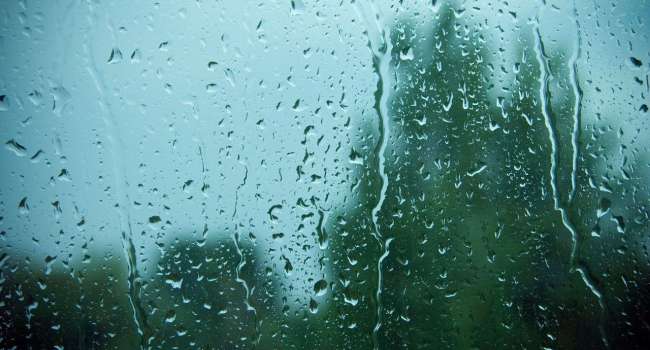 «У природы нет плохой погоды»: Специалисты советуют при плохой погоде сидеть дома