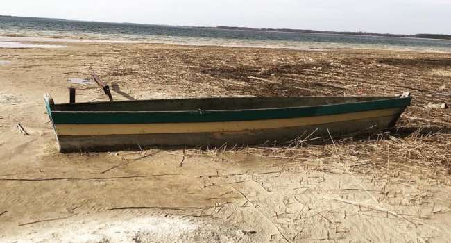 «Абстрактная и далекая проблема»: в сети показали фото погибающего озера Свитязь