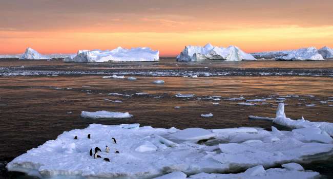 Объем льда в Арктике сократился на 95 процентов за последние 35 лет, и это может закончиться глобальным коллапсом - СМИ