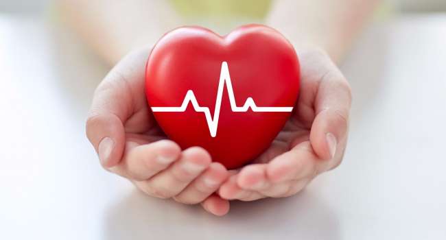 «Пока бьется сердце»: В Бостоне разработан метод регулирования размера искусственного сердечного клапана без хирургического вмешательства