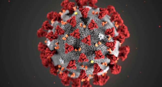 «Готовимся к пандемии»: Учёные считают, что коронавирус затронет весь мир