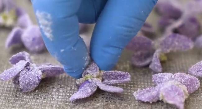 ����: replyua.net