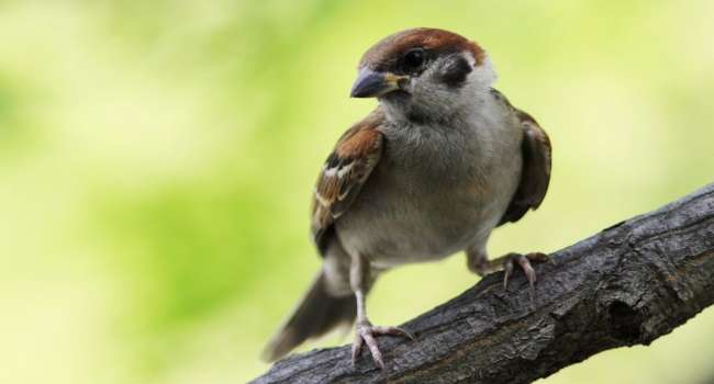  �������� ������ ������ ��������� ������ ������ ����� ���������� 