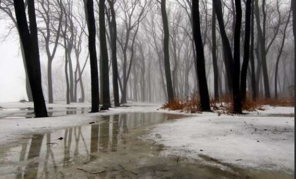  ����� ������� ������� ������ ������� 