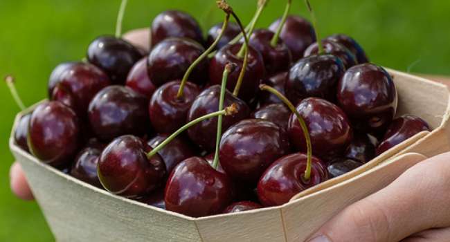  ����������� ������� ���������� ������ ������ ���������� ���������� �������� 