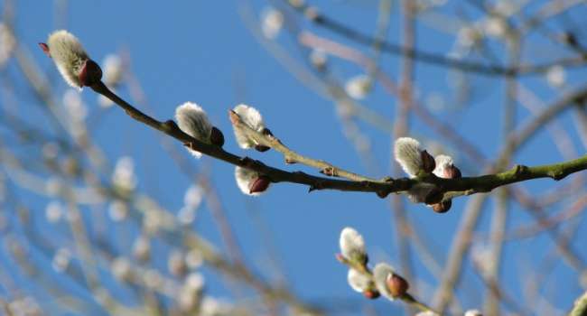  �������� ���������� ������ ���������� ������� 